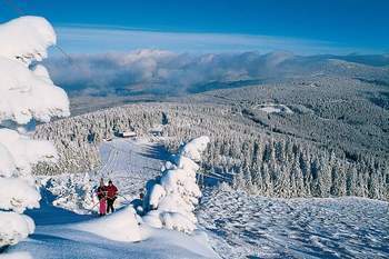 Ski fahren im Bayerischen Wald
